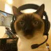 georgeorsini5 - @georgeorsini5 - TikTok