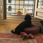 Georges McAlorum - @georgesmcalorum - Instagram