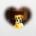 George Ostrowski - Facebook
