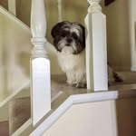 George Oswald - @george.oswald.7 - Instagram