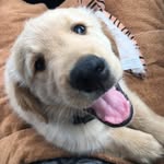 George Oswald Edwards - @allthatgeorge - Instagram