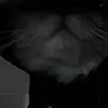 George Over - @george_over - TikTok