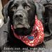 George Overfield - Facebook