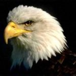 George Paez - @georgepaez7 - Instagram