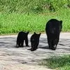 George Painter - @george.painter81 - TikTok
