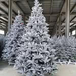 Christmas tree near me - @george_palmas1 - Instagram