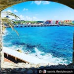 George Palm - @palm5024 - Instagram