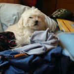 Γιωργος - @george_panagos2003 - Instagram