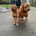 George Pass - Facebook