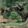 George Pass, Sr. - @george.pass.sr - TikTok