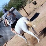 George Paulsen - @georgelpaulsen - Instagram