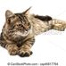 George Pelchat - Facebook