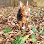 George Pence - @george.pence.3 - Instagram