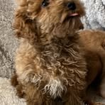 George Pennock - Facebook