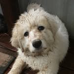 George Penrod - @george.penrod - Instagram