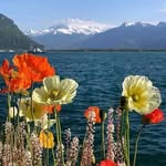 Georges Pepin - @georgespepin - Instagram
