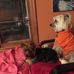 George &amp; Pepper - Facebook