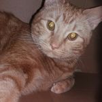 George Percival 😸😻😹❤❤ - @george___p___ - Instagram