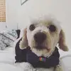 :P - @george.percy - TikTok