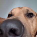 @george.perham - Instagram