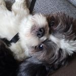 @georg_eperigoso - Instagram
