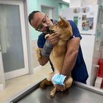 George Perrone - @georgeperrone49 - Instagram