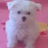 georgeperry - @georgeperry - TikTok