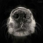 George Petros Ioannou - @gepe_ioannou - Instagram