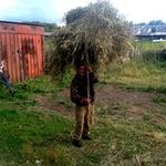 George Petrosov - @georgepetrosov - Instagram