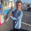 George Petrou - @george_petrouu - TikTok