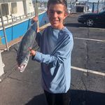 George Petrou - @george.petr - Instagram