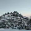 georgepetsas27 - @georgepetsas27 - TikTok