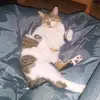 George Phelps - @feariess007 - TikTok