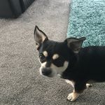 Alfie Philpot - @alfie_george_philpot - Instagram