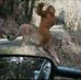 George Piazza - Facebook