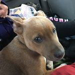 Georgepicard - @george.iscool - Instagram