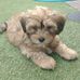 George Picken - Facebook