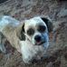 George Picken - Facebook