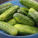 @geor.gepickle - Instagram