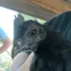 pickle_george - @pickle_george - TikTok