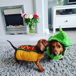 Walter Woody and George Pickle - @walterandgeorgesausage - Instagram