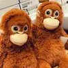 cocoaandgeorgepickles - @cocoaandgeorgepickles - TikTok