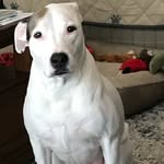George Picklesimer - @oldrph1973 - Instagram