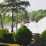 George Pickup - @blue_wings852655 - Instagram