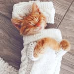 @georgepickup - Instagram