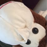 George Pilgrim - @georgetheincrediblemonkey - Instagram