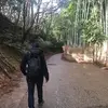 Jorge Galindo - @georgepilgrim17 - TikTok