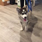 George Pina - @george_pina_7 - Instagram