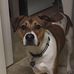 Loki George Pippin - Facebook