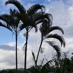 George Plummer - @georgeplummer1965 - Instagram